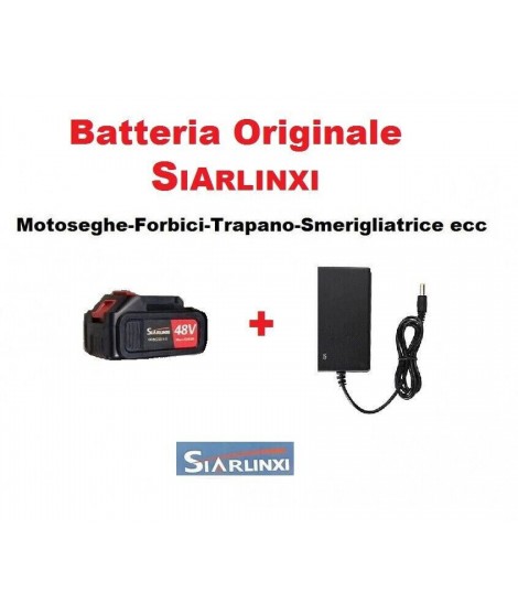 Batteria Di Ricambio...