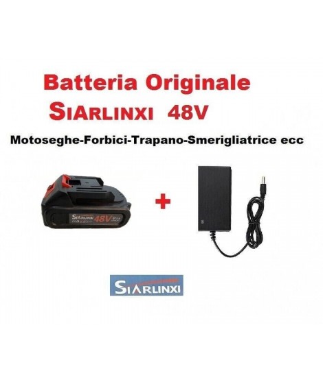 Batteria 48v Originale...